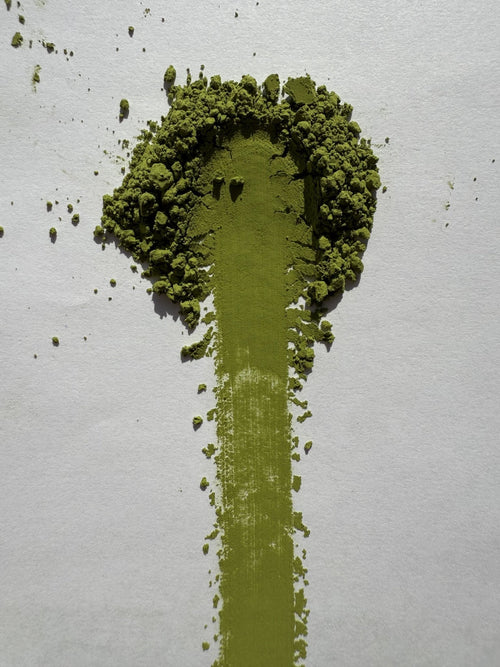 Uji (Kyoto & Mie) Standard Matcha KM-048 powder