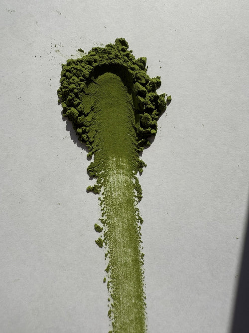 Miyazaki Standard Matcha KM-060 powder